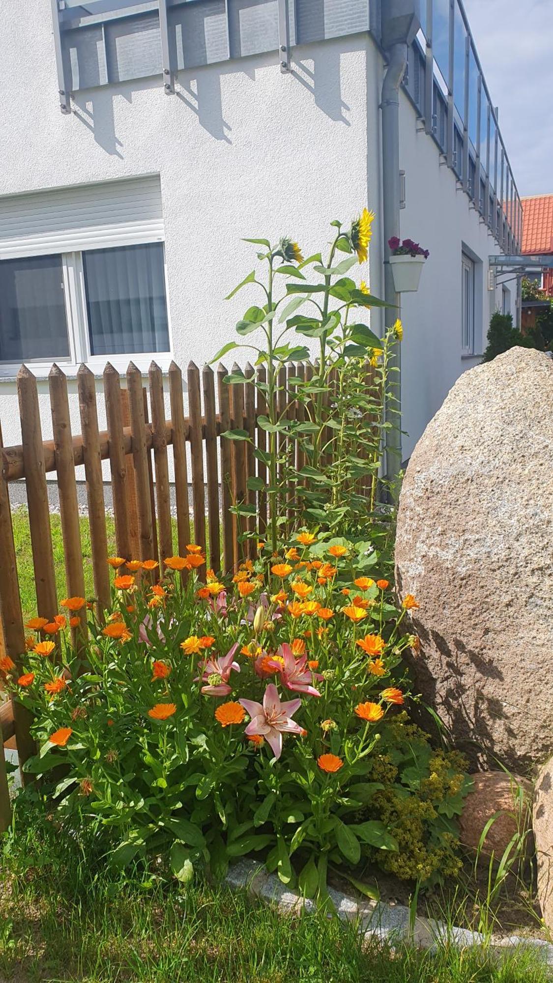 Ferienwohnungen "Godewind", Appartements Mit Balkon Oder Terrasse Zinnowitz Extérieur photo