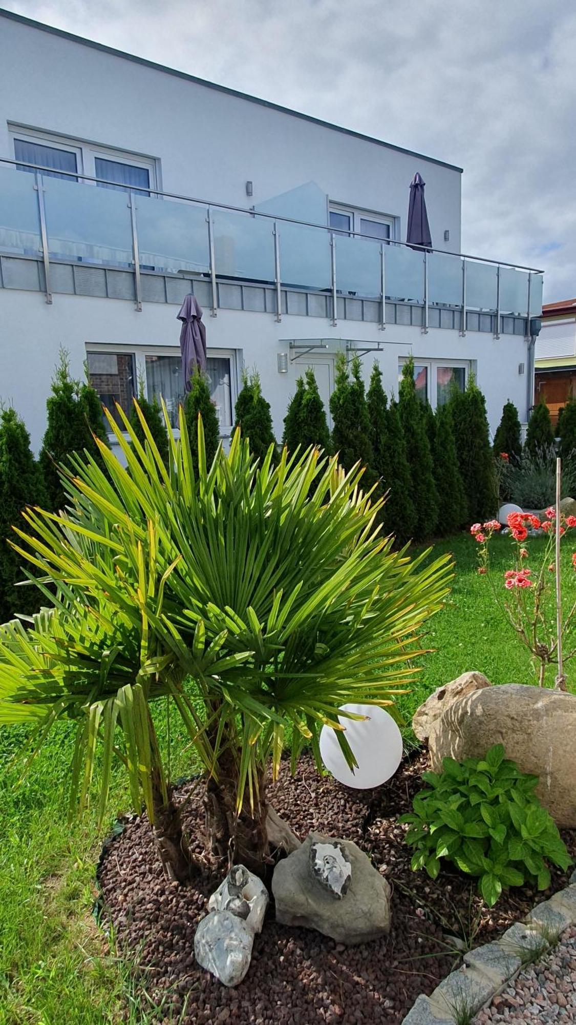 Ferienwohnungen "Godewind", Appartements Mit Balkon Oder Terrasse Zinnowitz Extérieur photo
